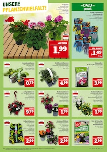 Blumenerde im Marktkauf Prospekt "GANZ GROSS in kleinsten Preisen!" mit 48 Seiten (Nürnberg)