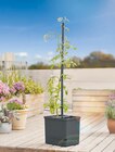 Lidl Kleinmachnow - Pflanzturm mit Wasserreservoir Angebot im Prospekt Pflanzturm mit Wasserreservoir bei Lidl im Kleinmachnow Prospekt für 14,99 €