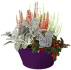 Zinkschale Herbstwelt Angebote bei REWE Frankfurt für 9,99 €