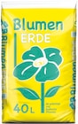 Thomas Philipps - Blumenerde Angebot im Prospekt Blumenerde bei Thomas Philipps im Prospekt "" für 2,39 €