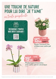 Prix et réduction Cache-Pot dans le prospectus Botanic en cours Offre Cache-Pot dans le catalogue Botanic du moment à la page 6