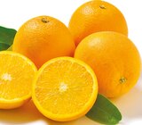 Premieur Orangen von Premieur im aktuellen Netto mit dem Scottie Prospekt für 1,99 €