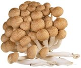 Aktuelle Champignons Angebote bei REWE in Nürnberg Aktuelles Buchenpilze Angebot bei REWE in Nürnberg ab 1,00 €