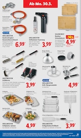 Aktueller Lidl Prospekt mit Grillzubehör, "LIDL LOHNT SICH", Seite 45