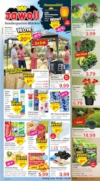 Discounter Prospekt von Jawoll Koblenz Jawoll Prospekt: "Sonderposten-Märkte", 12 Seiten, 10.08.2026 - 15.08.2026