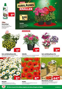 Blumenkasten Angebot im aktuellen Hagebaumarkt Prospekt auf Seite 6