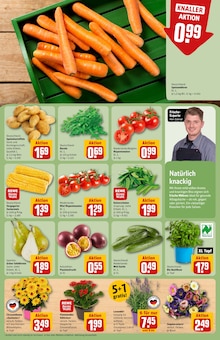 Blumen im REWE Prospekt "Dein Markt" mit 28 Seiten (Heidelberg)