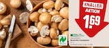 Braune Bio Champignons im Angebot bei REWE in Sankt Augustin Braune Bio Champignons Angebote von REWE Bio bei REWE Sankt Augustin für 1,69 €