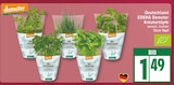Bio Minze von Demeter für 1,49 € bei EDEKA im Angebot Bio Minze von Demeter im aktuellen EDEKA Prospekt
