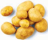 Speisekartoffeln im Angebot bei Markant Nordwest in Bad Salzuflen Speisekartoffeln Angebote bei Markant Nordwest Bad Salzuflen für 1,49 €