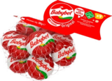 Mini Käsesnack von BABYBEL im aktuellen ALDI Nord Prospekt