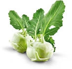 Kohlrabi im Netto Marken-Discount Prospekt Kohlrabi von HEIMAT im aktuellen Netto Marken-Discount Prospekt für 1,00 €