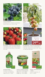 Beeren Angebote im Prospekt "FRÜHLING ERLEBEN" von Pflanzen Kölle Beeren Angebote im Prospekt "FRÜHLING ERLEBEN" von Pflanzen Kölle auf Seite 9