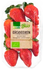 Aktuelles Erdbeeren aus Spanien Angebot bei E center in Rostock ab 2,49 €
