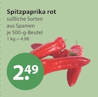 Spitzpaprika rot im aktuellen V-Markt Prospekt für 2,49 €