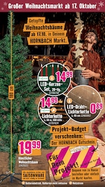 Weihnachtsbaum im Hornbach Prospekt in Dinslaken Aktueller Hornbach Prospekt mit Weihnachtsbaum, "Das beste Projekt ist immer das nächste.", Seite 31