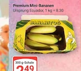 Aktuelles Premium Mini-Bananen Angebot bei GLOBUS in Braunschweig ab 2,49 €