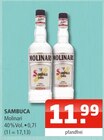 Sambuca Angebote von Molinari bei Getränke Oase Rheda-Wiedenbrück für 11,99 €