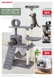 Tierbedarf im Woolworth Prospekt in Recklinghausen Aktueller Woolworth Prospekt mit Tierbedarf, "Aktuelle Angebote", Seite 7