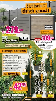 Hortensie im aktuellen Hornbach Prospekt (Heidelberg) Hortensie im Hornbach Prospekt "Ran ans PROJEKT. Es ist schon Pflanzzeit." mit 36 Seiten (Heidelberg)