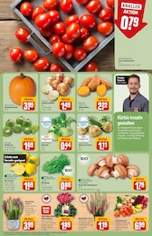 Gemüsezwiebeln im REWE Prospekt "Dein Markt" auf Seite 7