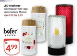 LED-Grabkerze im Angebot bei GLOBUS in Rodgau LED-Grabkerze Angebote von hofer bei GLOBUS Rodgau für 4,99 €