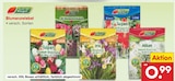 Blumenzwiebel im Angebot bei Netto Marken-Discount in Plauen Blumenzwiebel Angebote von Garten Magic bei Netto Marken-Discount Plauen für 0,99 €