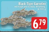 Black-Tiger Garnelen im Angebot bei E center in Recklinghausen Black-Tiger Garnelen Angebote bei E center Recklinghausen für 6,79 €