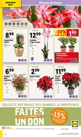 Bambou Angebote im Prospekt "BLACK FRIDAY DEALS" von Lidl auf Seite 4