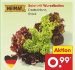 Aktuelles Salat mit Wurzelballen Angebot bei Netto Marken-Discount in Krefeld ab 0,99 €