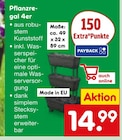 Pflanzregal 4er von  im aktuellen Netto Marken-Discount Prospekt für 14,99 €