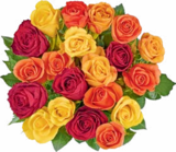 Edelrosen XXL für 5,55 € bei Netto Marken-Discount im Angebot Edelrosen XXL im aktuellen Netto Marken-Discount Prospekt