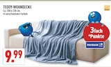 Teddy-Wohndecke im Angebot bei Marktkauf in Rheda-Wiedenbrück Teddy-Wohndecke Angebote bei Marktkauf Rheda-Wiedenbrück für 9,99 €