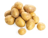 Bio Speisekartoffeln Angebote von REWE Bio bei REWE Pforzheim für 1,69 €