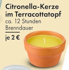 Citronella-Kerze im Terracottatopf im Angebot bei TEDi in Coesfeld Citronella-Kerze im Terracottatopf Angebote bei TEDi Coesfeld für 2,00 €