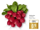 Marktkauf Hohenentringen - Radieschen Angebot im Prospekt Radieschen bei Marktkauf im Hohenentringen Prospekt für 0,79 €
