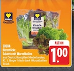 Aktuelle Salat Angebote bei E center in Dresden Aktuelles Salatrio mit Wurzelballen Angebot bei E center in Dresden ab 1,00 €