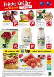 Aktueller EDEKA Prospekt mit Fernseher, "Aktuelle Angebote", Seite 16