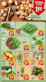 Bohnen im aktuellen REWE Prospekt (Nürnberg) Bohnen im REWE Prospekt "Dein Markt" mit 20 Seiten (Nürnberg)