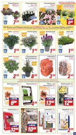 Aktueller CENTERSHOP Prospekt mit Blumenerde, "Da geht was.", Seite 11