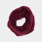 Promo Snood tricoté doublé bordeaux femme à 15,99 € dans le catalogue La Halle à Sainte-Maxime