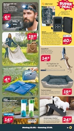 Aktueller Netto mit dem Scottie Prospekt mit Sitzkissen, "Günstig. Besser. Für Dich.", Seite 21