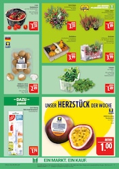 Aktueller Marktkauf Prospekt mit Dekoration, "AUSWAHL RIESIG, PREISE NIEDRIG", Seite 9
