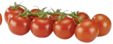 Unsere Heimat Cocktail Rispen-tomaten im Angebot bei Marktkauf in Göppingen Unsere Heimat Cocktail Rispen-tomaten Angebote bei Marktkauf Göppingen für 1,99 €
