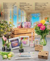 Aktueller famila Nordost Prospekt mit Tulpen, "besser als gut!", Seite 24