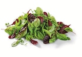 Salat-Mix  im aktuellen Lidl Prospekt für 0,99 €