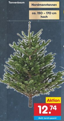 Tannenbaum