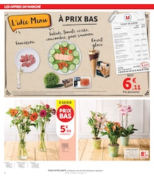 Prix et réduction Plantes dans le prospectus U Express en cours Offre Plantes dans le catalogue U Express du moment à la page 8