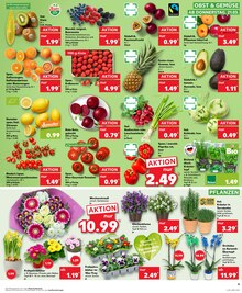 Erdbeeren im Kaufland Prospekt "Aktuelle Angebote" mit 28 Seiten (Aachen)