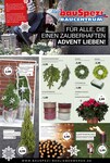 Gartenbeleuchtung Gartenbeleuchtung